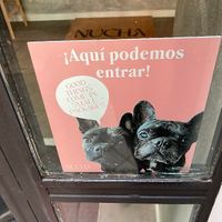 Dog friendly!!! at Nucha Coffee Art in Madrid