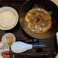Classic mapo tofu with rice at tsuminaki Mapo Tofu - 罪無き麻婆豆腐 in Tokyo