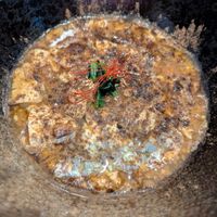 Classic mapo tofu at tsuminaki Mapo Tofu - 罪無き麻婆豆腐 in Tokyo