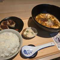 Mapo Tofu with Gyoza at tsuminaki Mapo Tofu - 罪無き麻婆豆腐 in Tokyo