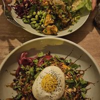  at Monkey Mood in Capbreton