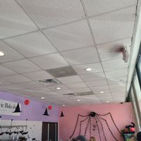 Shop decor at Reverie Bakeshop in Richardson