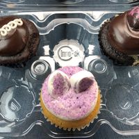 Cupcakes! at Reverie Bakeshop in Richardson