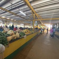 Market from the inside   at Mercado Agropecuario in Havana
