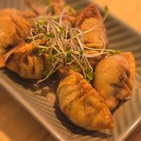  at Dumplings & Beer 541Tasu tonight in Osaka