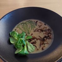 Vegan mushroom soup at Seaplane Harbour Summer Cafe Mini Maru in Tallinn