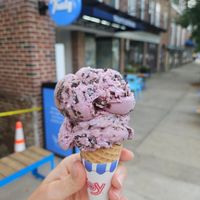 A "kiddie" cone with plant-based black raspberry chip at Truly's in Wellesley