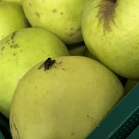 caught them ..😁 at iDEA in Bar