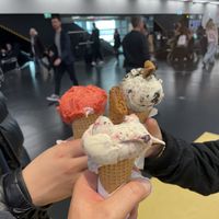   at VIE - Veganista / The LaLa - T3-F in Vienna