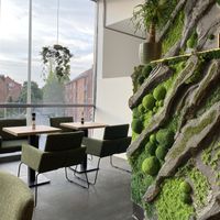 Nature decoracation  at Dadashi in Hamburg