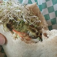 Falafel Traditionel at Panthere Verte - Plateau in Montreal