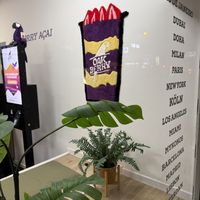 window  at Oakberry in Cologne