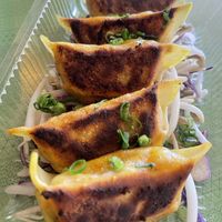 Curry Dumplings  at I Luv Dumplings in Honokaa