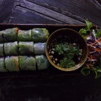 Vietnamveggie springrolls at Radiance Restaurant in Koh Samui