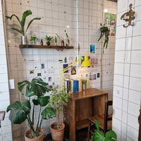 Just the location at Different Today in Busan