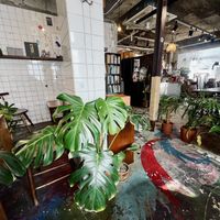 Inside  at Different Today in Busan