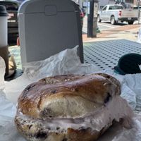   at Auburn Bagel Company in Auburn