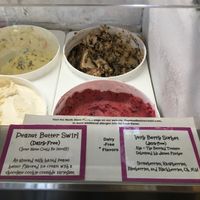 Vegan flavors of the week: Peanut Butter Swirl & Very Berry Sorbet at Flapdoodles Ice Cream in Rochester