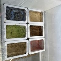 Vegan flavors  at Bliss Small Batch Creamery in Snohomish