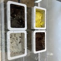 Vegan flavors  at Bliss Small Batch Creamery in Snohomish