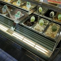 lots of vegan flavors! at Slurp Gelateria in Sanremo