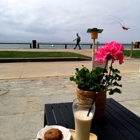 Biscuit vegan at Caroline Gelats & Dolços in Girona