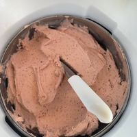 Sorbet figue at Caroline Gelats & Dolços in Girona