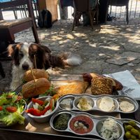   at Meshigane in Zikhron Yaakov