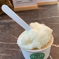Bergamot & fig vegan sorbets at Gelato Lab in Madrid