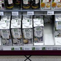 Plan milk   at Rossmann & Lala - Bllok in Tirana