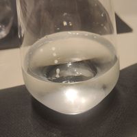 This was only vegan thing they had. at Osteria del Piatto in Rome