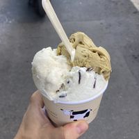   at Gelato Giusto in Milan