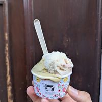 Gelato rosa e lampone e pistacchio at Gelato Giusto in Milan