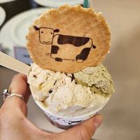  at Gelato Giusto in Milan
