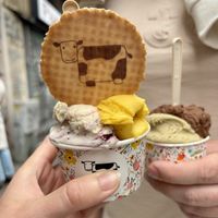   at Gelato Giusto in Milan