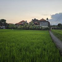  at Warung Gauri in Ubud