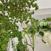   at Loving Bistro in Prague