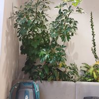 Interior at Loving Bistro in Prague