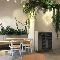 vibe at Loving Bistro in Prague