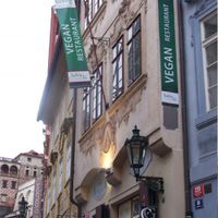 loVeg at LoVeg in Prague