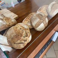  at Vanille in Madrid