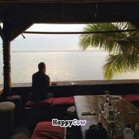 Eco Cafe seating area over the beach.  Owner built the bamboo structure himself. at Eco Cafe in Nadi