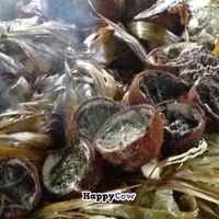 Coconuts roasted with taro leaves  at Eco Cafe in Nadi