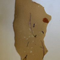 A simple cracker turned into a work of artt  at Datil in Paris