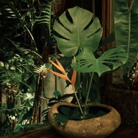   at O Plant-based - Tôn Thất Đạm in Ho Chi Minh City