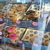 V at The Duff Nuts Co in Llandeilo