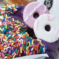  at The Duff Nuts Co in Llandeilo