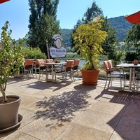  at Nicolay's Moselterrasse in Zeltingen-rachtig