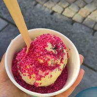 Vegan option with raspberry topping at MooGoo Icecream House in Stavanger