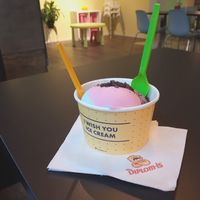 Vegan ice cream at MooGoo Icecream House in Stavanger